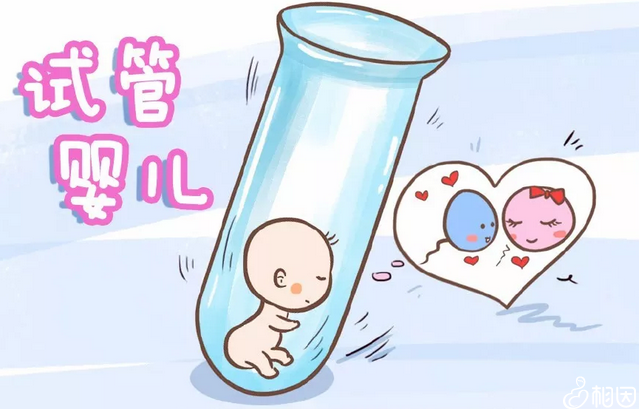 胎儿大小标准值对照表 胎儿大小标准图