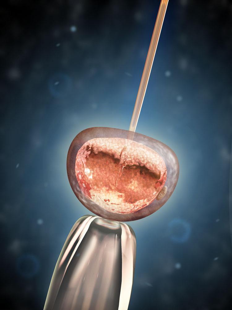 胎儿大小标准值对照表 胎儿大小正常值