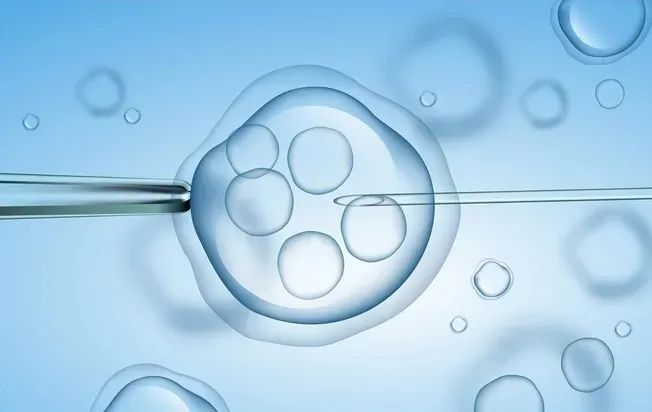 胎儿大小标准对照表 孕期胎儿大小标准对照表